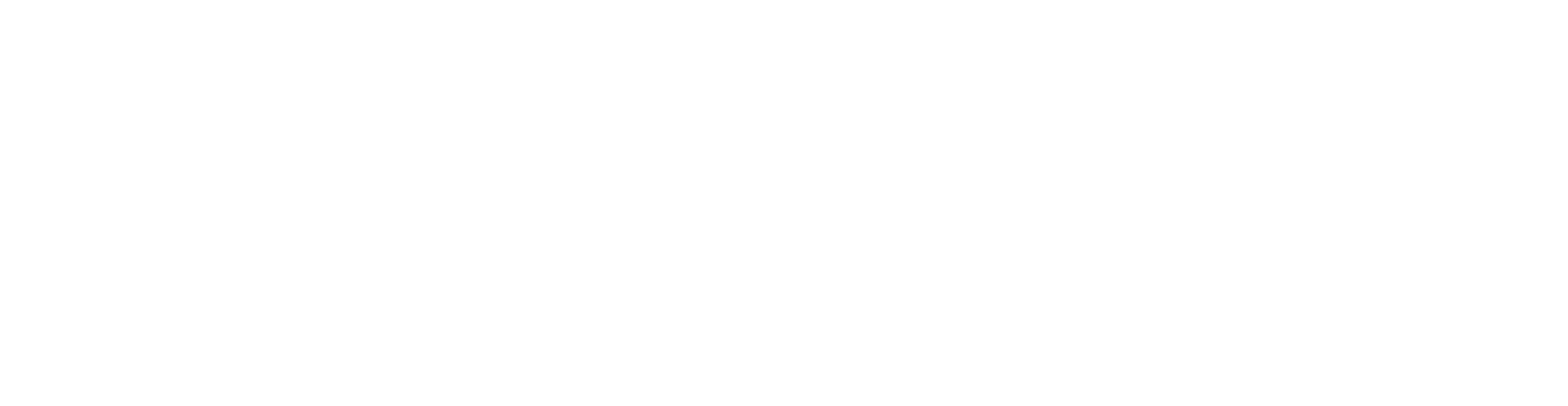 AER logo
